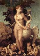 Andrea del Sarto Swan oil painting artist